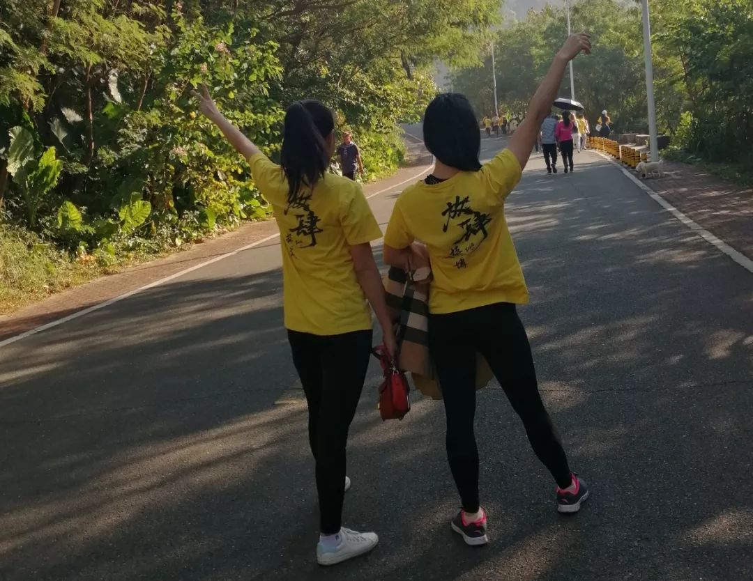 iHF合發齒輪團隊 iHF合發齒輪團隊